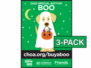 3-back of special edition boos